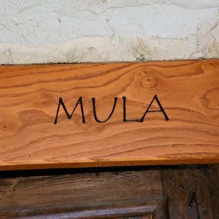 Abuela Tina Semesterbostad *