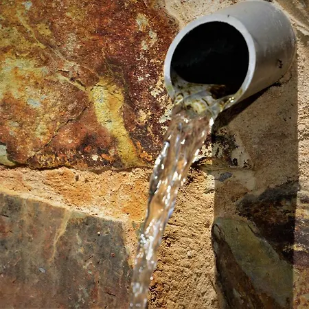 Abuela Tina Антоньян-дель-Валье