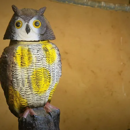 Дом отдыха Abuela Tina Антоньян-дель-Валье