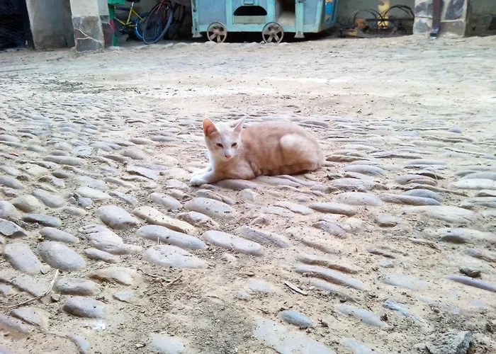 Abuela Tina Semesterbostad Antonan del Valle