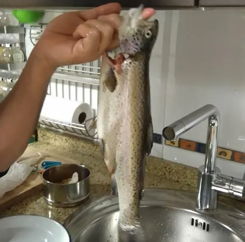 Abuela Tina * Antonan del Valle