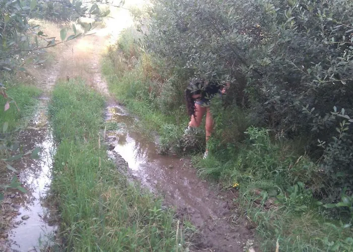 Abuela Tina Semesterbostad