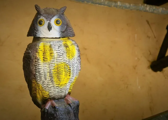 Holiday home Abuela Tina Antonan del Valle